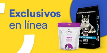 Exclusivos en línea. Pulsa aquí para comprar.