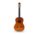 Guitarra acústica. Pulsa aquí para ver más.