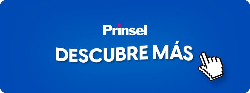 Pulsa aquí para ver artículos de la marca Prinsel.